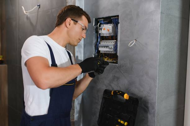 Best Ceiling Fan Installation Electrician  in Martin, SD